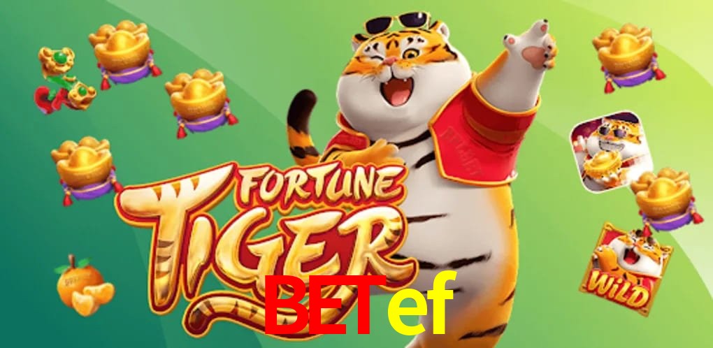 Experiência VIP betef