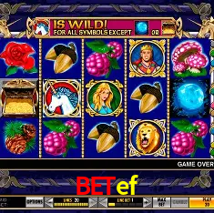 Descubra o Mundo do Cassino Online com betef